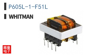 P605L-1-F51L ͼƬ